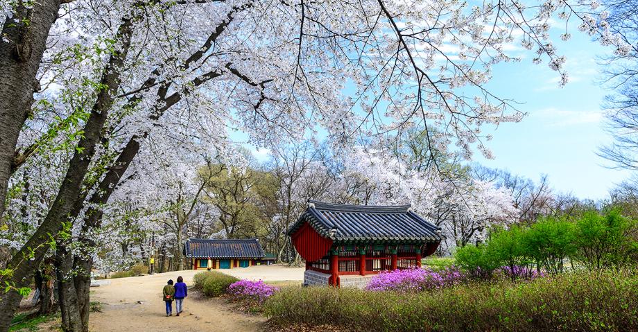 쌍수정의 봄 | 동상 이미지